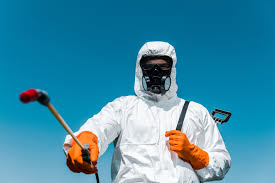 Best Bee and Wasp Removal  in Miami Beach, FL